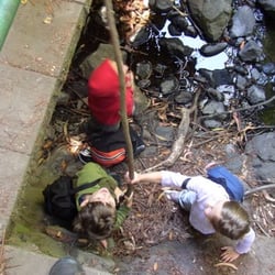 Fiddleheads Social Skills Group