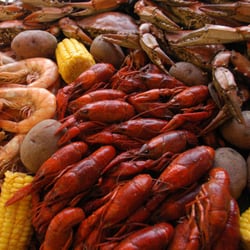 Harlon's La Fish