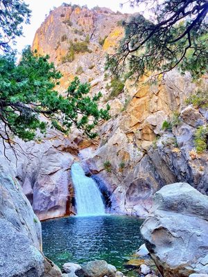 Roaring River Falls by null