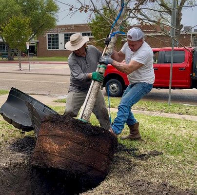 Danny's Custom Landscaping & Woodchuck Firewood