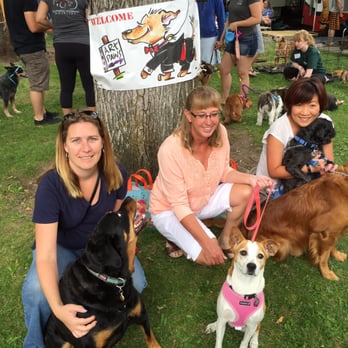 Artown - Art Paws - Festivals Near Me - Reno, Nevada