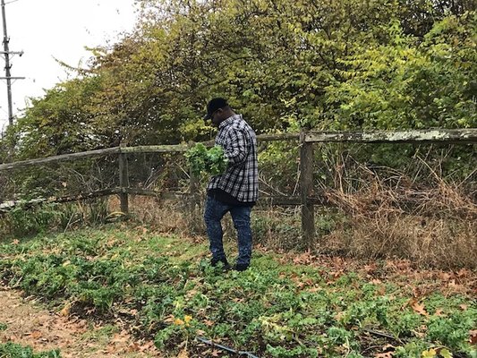 The Nashville Food Project, Inc. by null