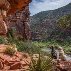 Dvorak Kayak and Rafting Expeditions - Dolores River