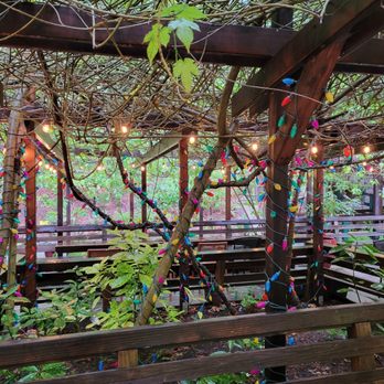 Mystery Spot - Amusement Parks Near Me - Santa Cruz, California Mystery Spot - Amusement Parks Near Me - Santa Cruz, California