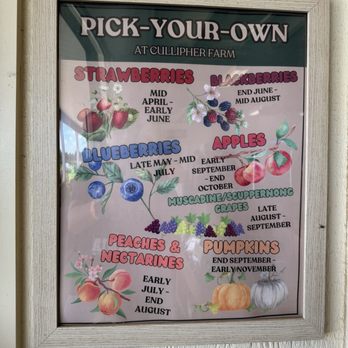 Cullipher Farm - Pick your own seasons - Farmers Market Near Me - Virginia Beach, Virginia