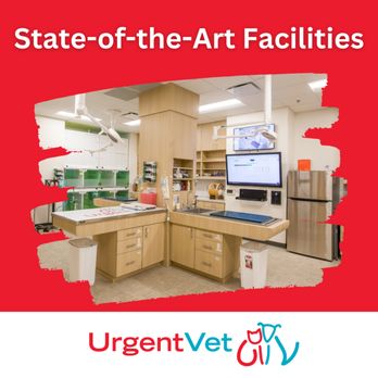 UrgentVet - Hatfield - Veterinarians Near Me - Hatfield, Pennsylvania UrgentVet - Hatfield - Veterinarians Near Me - Hatfield, Pennsylvania