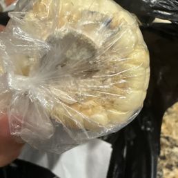 Moldy corn sold today Moldy corn sold today