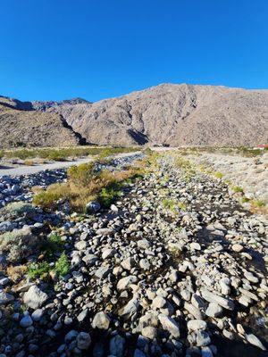 Tahquitz Canyon by null