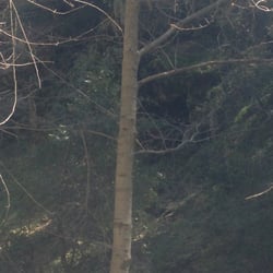 Cedar Creek Campground - ..that's a cave up there, big enough for a bear..