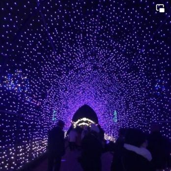 Denver Botanic Gardens - Lighted tunnel - Botanical Gardens Near Me - Denver, Colorado