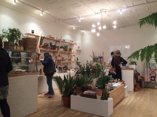 Homecoming by null Homecoming by null