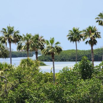 Billy's Stone Crab - Here's the view from Billy's! What a cool place! - Seafood Near Me - Tierra Verde, Florida Billy's Stone Crab - Here's the view from Billy's! What a cool place! - Seafood Near Me - Tierra Verde, Florida