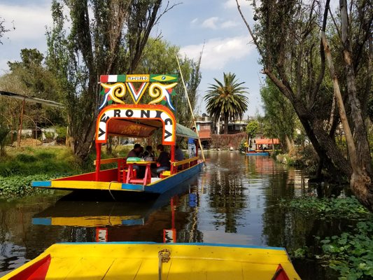 Xochimilco by null