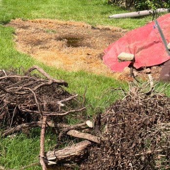 Tanks Be Gone - pooling of oil slicked grass, dead grass, vegetation pulled up and left to die in the yard - Environmental Testing Near Me - Wallingford, Connecticut Tanks Be Gone - pooling of oil slicked grass, dead grass, vegetation pulled up and left to die in the yard - Environmental Testing Near Me - Wallingford, Connecticut