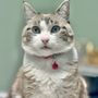 Photo of Lake Alfred Animal Hospital