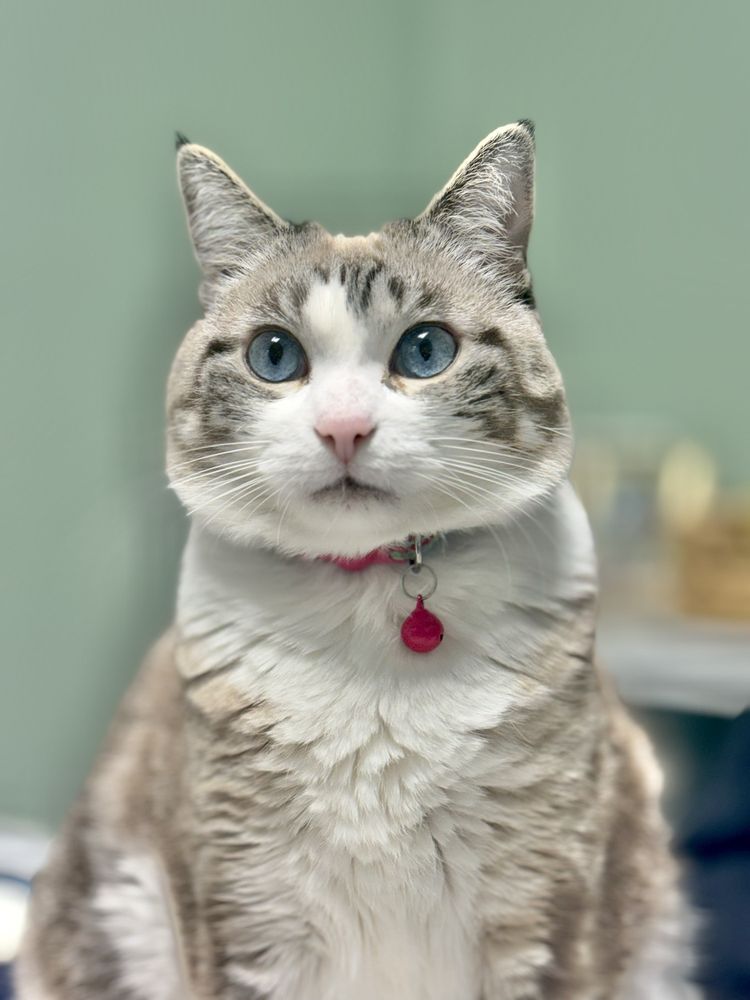 LAKE ALFRED ANIMAL HOSPITAL Updated October 2024 17 Photos & 21