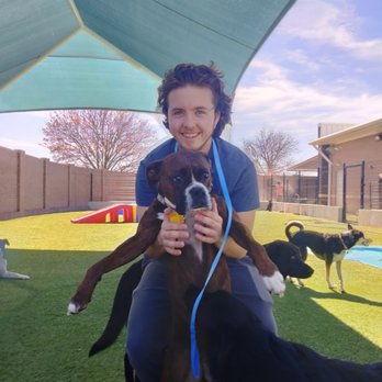 UltiMutts - Pet Boarding Near Me - McKinney, Texas