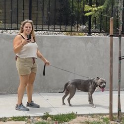Grape Street Dog Park - WATCH OUT FOR OWNER/DOG. JUST GOT ATTACKED. IF YOU SEE THEM KICK THEM OUT!