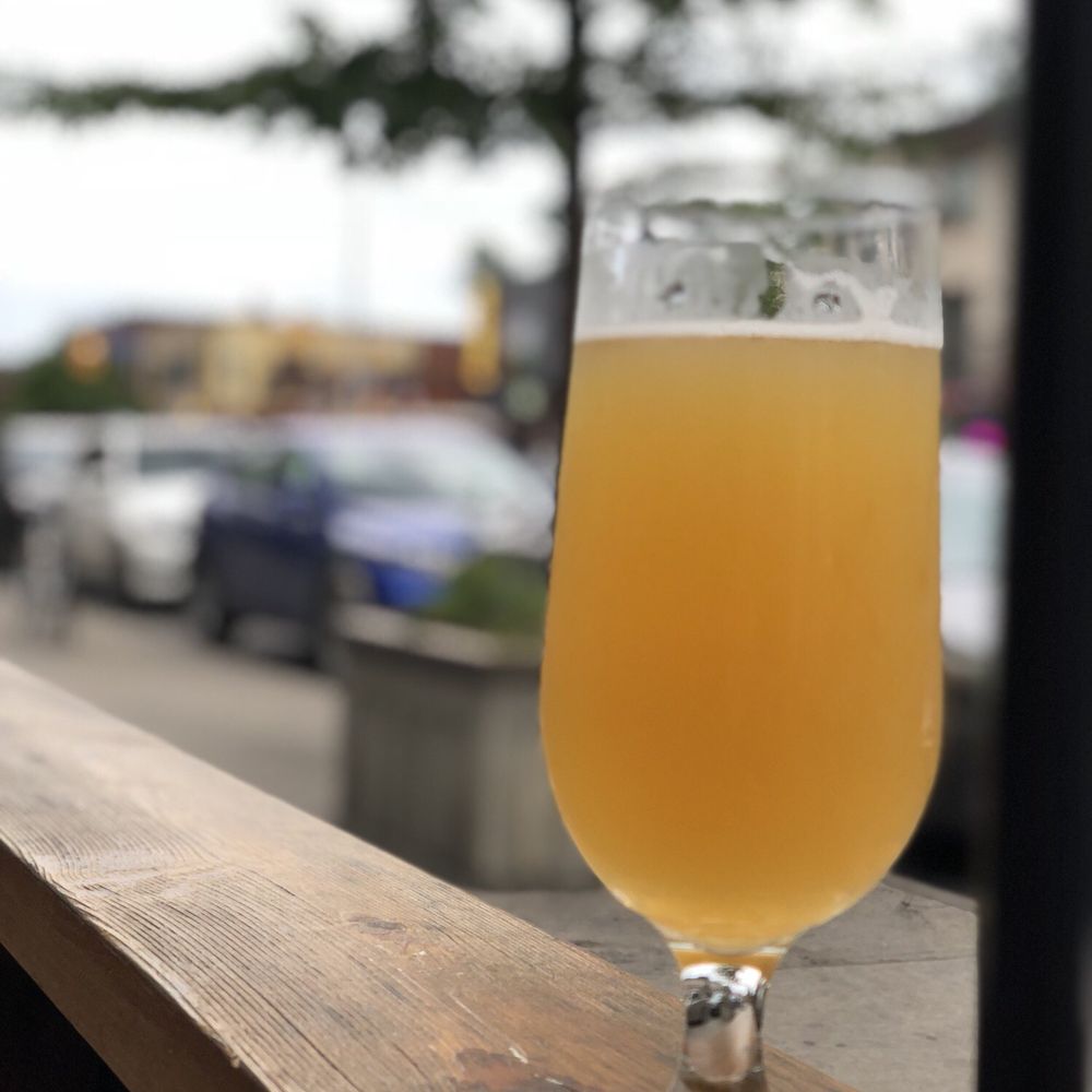 The Wren - Jelly King sour IPA is delicious! - Bars Near Me - Toronto, Ontario The Wren - Jelly King sour IPA is delicious! - Bars Near Me - Toronto, Ontario