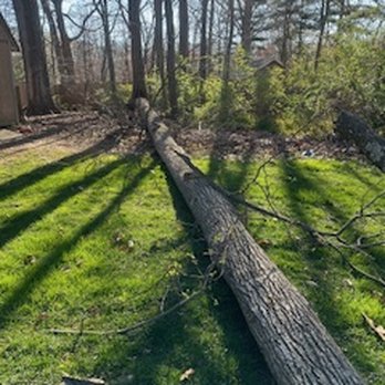 FH Tree & Lawn Services - Tree Services Near Me - Toano, Virginia