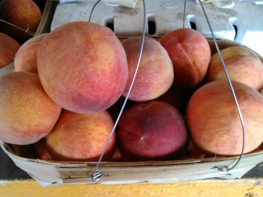 Alabama Farmers Market by null