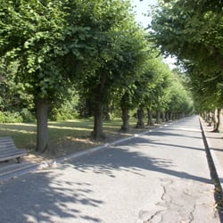 Schoonselhof