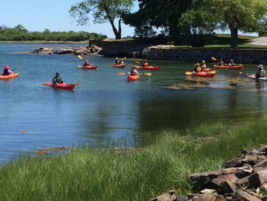 Coastal Maine Hike and Bike by null