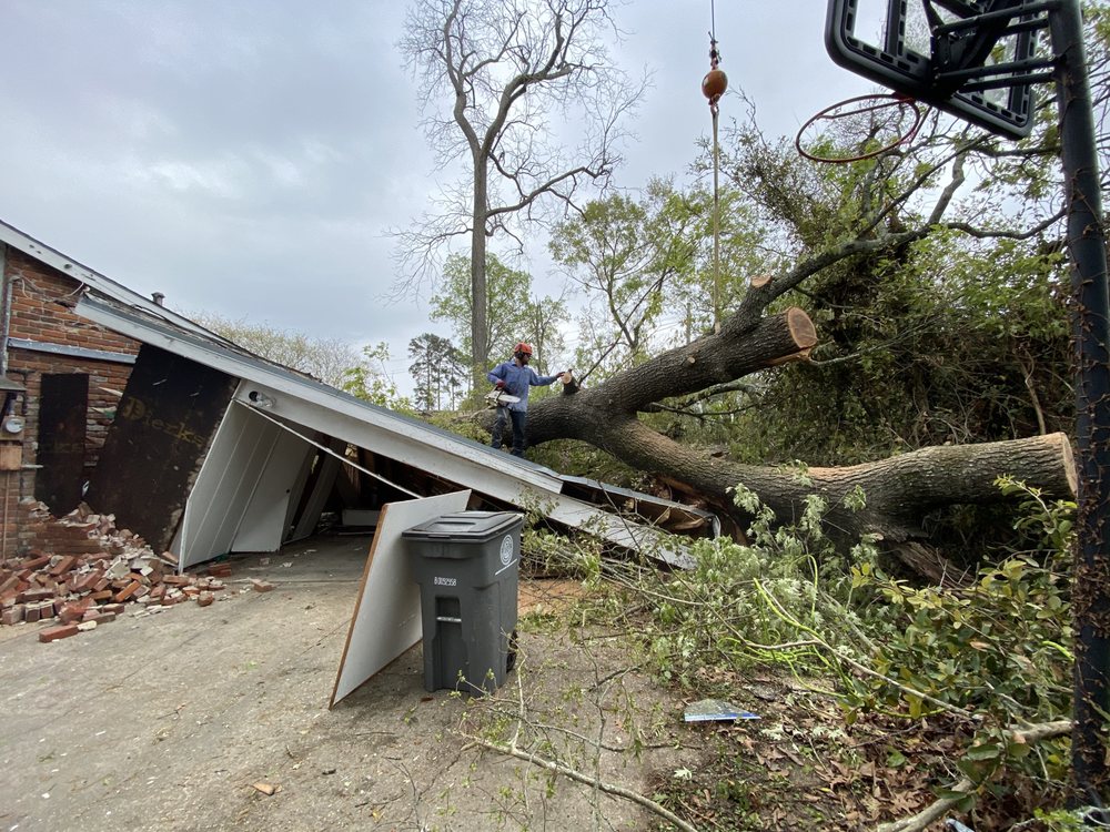 Carville Tree Services - tree service in Baton Rouge, LA