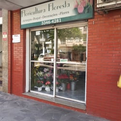 Floricultura Floresta - Floricultura Floresta