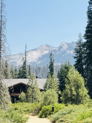 Wuksachi Lodge by null