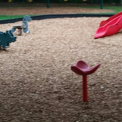 Handley Park - Sit & spin.