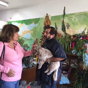 Alta Vista Pet Salon - Pet Groomers Near Me - Monterey, California Alta Vista Pet Salon - Pet Groomers Near Me - Monterey, California