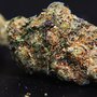 Photo of CommunityCann
