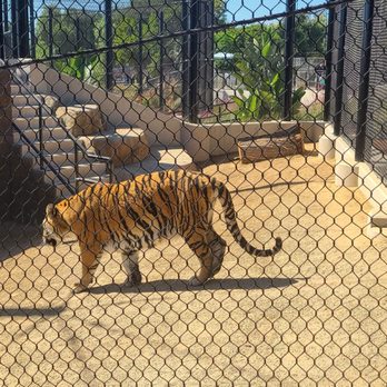 America's Teaching Zoo - Zoos Near Me - Moorpark, California