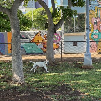 Mother Waldron Off-Leash Dog Park - Dog Parks Near Me - Honolulu, Hawaii Mother Waldron Off-Leash Dog Park - Dog Parks Near Me - Honolulu, Hawaii