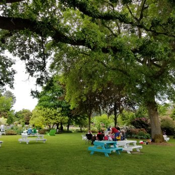 Schreiner's Iris Gardens - Perfect place to picnic under the huge shade tree! - Nurseries & Gardening Near Me - Salem, Oregon Schreiner's Iris Gardens - Perfect place to picnic under the huge shade tree! - Nurseries & Gardening Near Me - Salem, Oregon