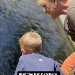 Mt. Shasta Sisson Museum - Watching rainbow trout at the fish hatchery next to the Sisson Museum