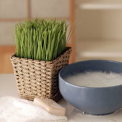 Aqua Health Centre - Natural Massage