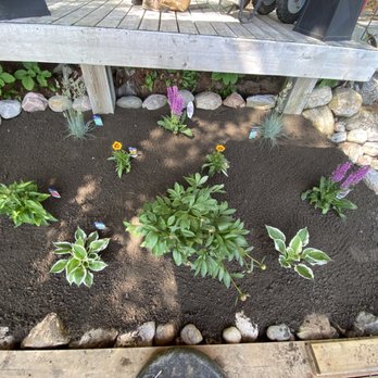 TT Yard Maintenace - Lawn Services Near Me TT Yard Maintenace - Lawn Services Near Me