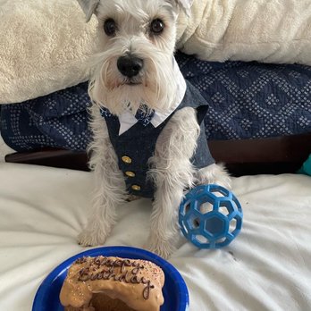 My Pet Naturally - Dog birthday cake - Pet Stores Near Me - Santa Monica, California My Pet Naturally - Dog birthday cake - Pet Stores Near Me - Santa Monica, California