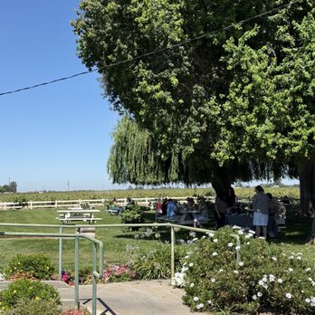 Peirano Estate Vineyards - Picnic area - Wineries Near Me - Acampo, California Peirano Estate Vineyards - Picnic area - Wineries Near Me - Acampo, California