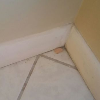 SeaShore Realty Group - Nasty bandaid in the bedroom floor - Real Estate Services Near Me - Surf City, North Carolina SeaShore Realty Group - Nasty bandaid in the bedroom floor - Real Estate Services Near Me - Surf City, North Carolina