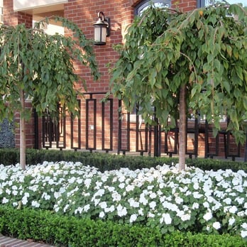 Little Leaf Landscaping - Residential formal front entrance. - Landscaping Near Me Little Leaf Landscaping - Residential formal front entrance. - Landscaping Near Me