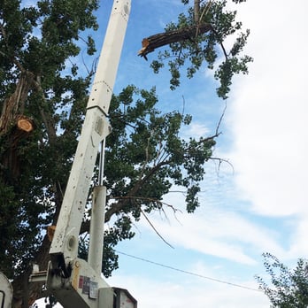 Parker Tree Service - Tree Services Near Me - Caldwell, Idaho