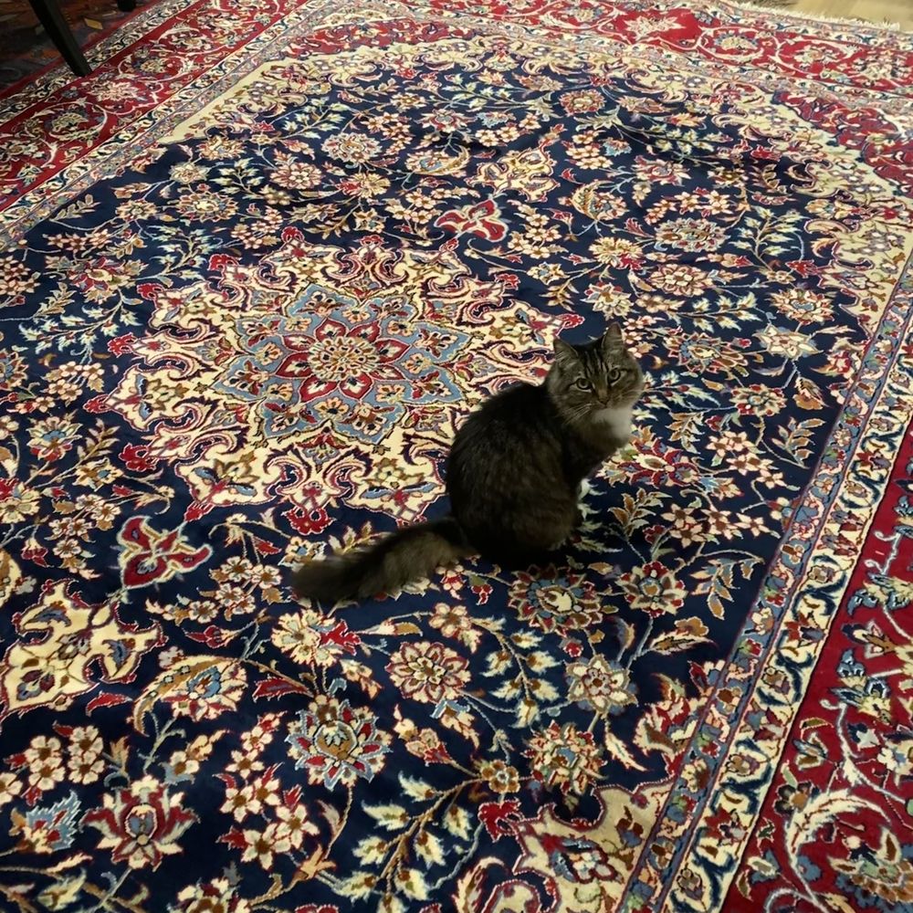ArmansRugs - Rugs Near Me - Santa Ana, California