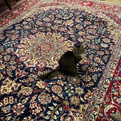 ArmansRugs