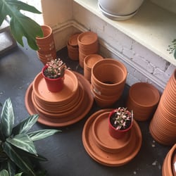 Lygon Street Nursery