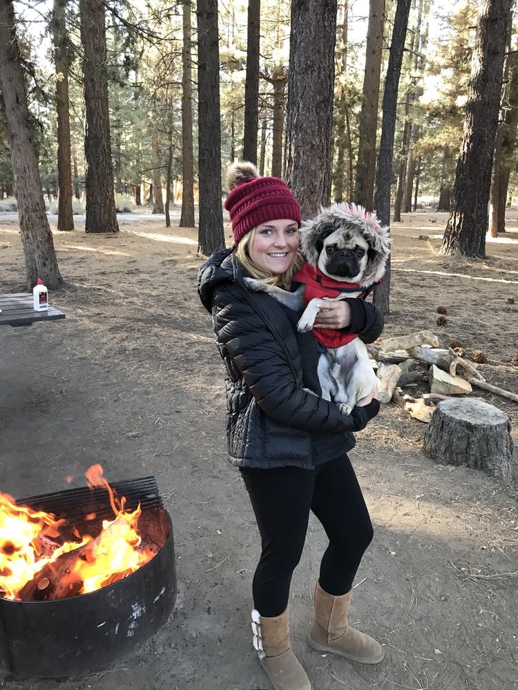 vca animal hospital big bear