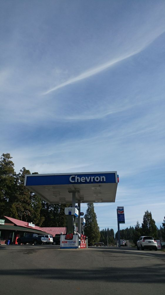 Shingletown Store Logo