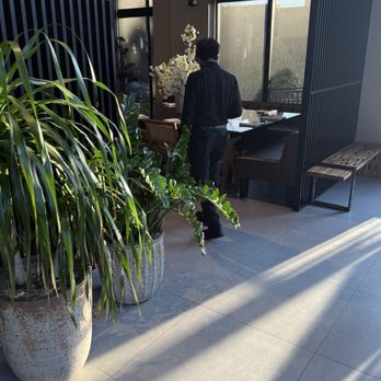 Sushi Sake - Ludlam - Lazy server, who prefers being on his cell phone rather than speaking to customers. - Sushi Bars Near Me - Miami, Florida